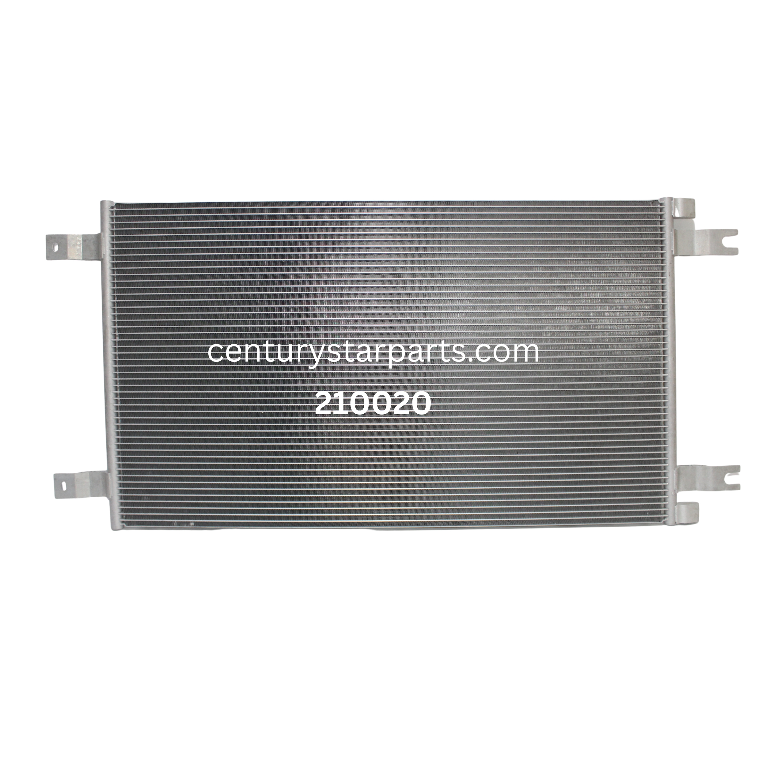 Century Star